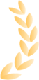 170005lokmmoktplsgfggv.png