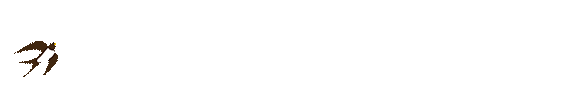 152412yrr8t7787r7yroyj.gif