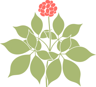 173541a11wxecezgdefp1w.png