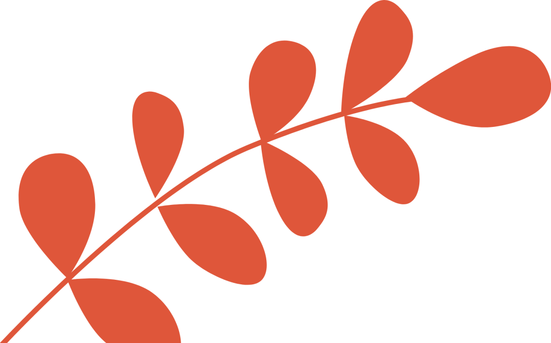 165604uyq441efa6f97kje.png