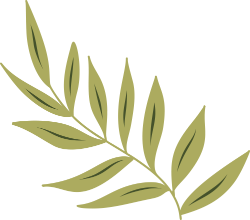 131615r2796wdf26bmfgsn.png