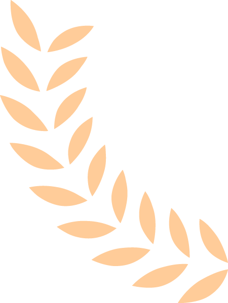 173459csksm9h3fz3s20sv.png