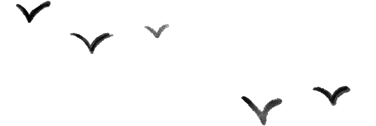 150647jelkaucxupabjpgk.png