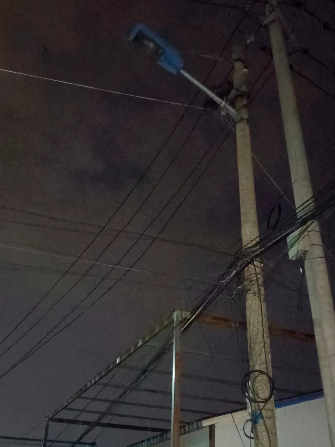 141902d6pgcnhu6h6c4lzp.jpeg