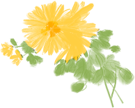 180500o6mgjxdgu6ctr6dj.png
