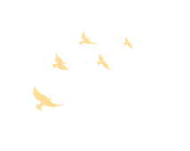 105452mnd101um3qcy1in1.png