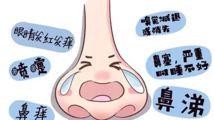 154918on8yon8vqr9r9vj9.png