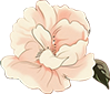 173625yfwwnxrkfnbsn533.png