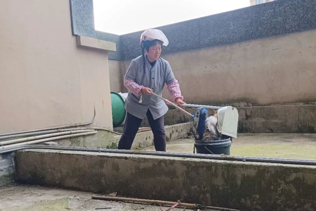 165350e288iozw2oa1er8l.jpeg
