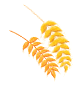 081641to8kj6yjo7ruj865.gif