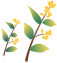 174517lx8opxb6og6fbgr6.png