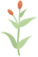 174518ux7h4j4c7xczr00c.png