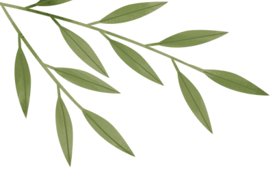 180326ysf44rl54f6r33s3.png
