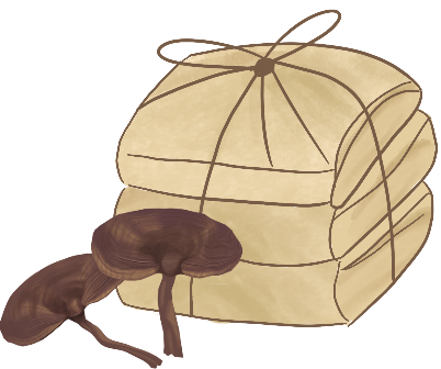 180327bp55zzzu550rjrpw.png