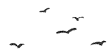 171041h49v9g9bvgg9bn7g.gif