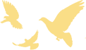 172407xcywwcxw4cl1wlh6.png