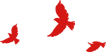 102452wucmkau7qgws95s7.png
