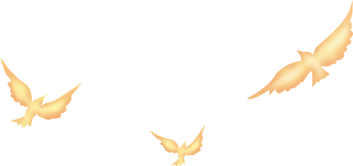 175215wlpu3fxwpik1t3px.png