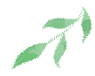 083202zpiptoqi222feoqf.gif