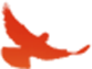 161202w36xr22x6x5w3n33.png