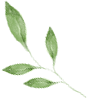 093040uegpeggii185mvgv.png