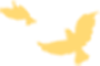 173512kvddx779uyyyw3yy.png