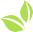 085330uejet2qq1mjymz9m.png