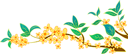 084825bdd0g231t80ygg60.png