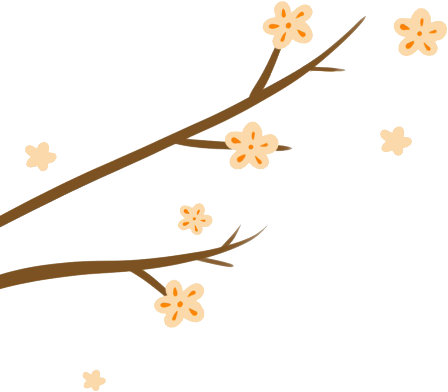 170857e5jjtml5l53qjejj.png