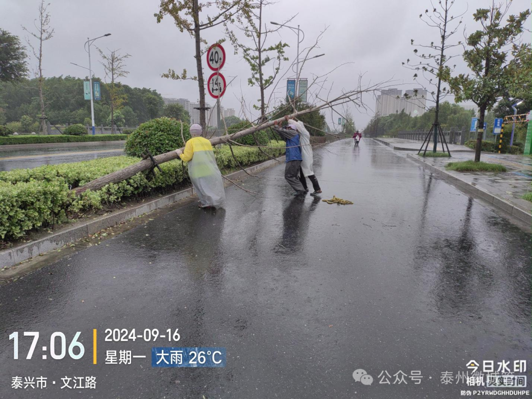 154958chsmsskj0pdm031k.png