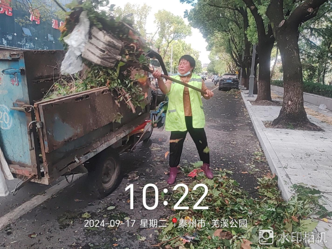 155007v1dlge6akb6v11d5.png