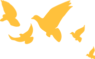 175704kisvmbi6116b1ryy.png