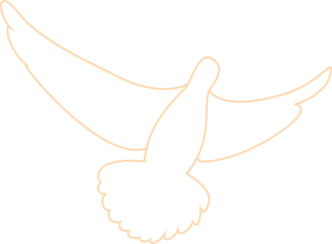 102340qrm1s39m3f3m6634.png