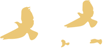 145210n2233jqgxhdzsgs2.png