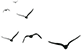 173507r66unlhh4u9ch69n.png