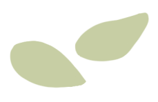 174204m2p49xtpjy9x1tp1.png
