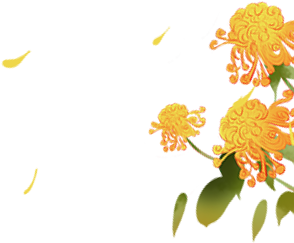 161817qwtrrqkzqegpvtqg.png