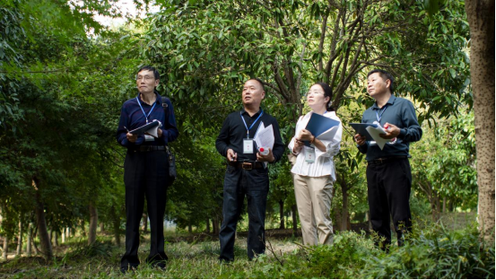 120104gycc7y2sooea122e.png