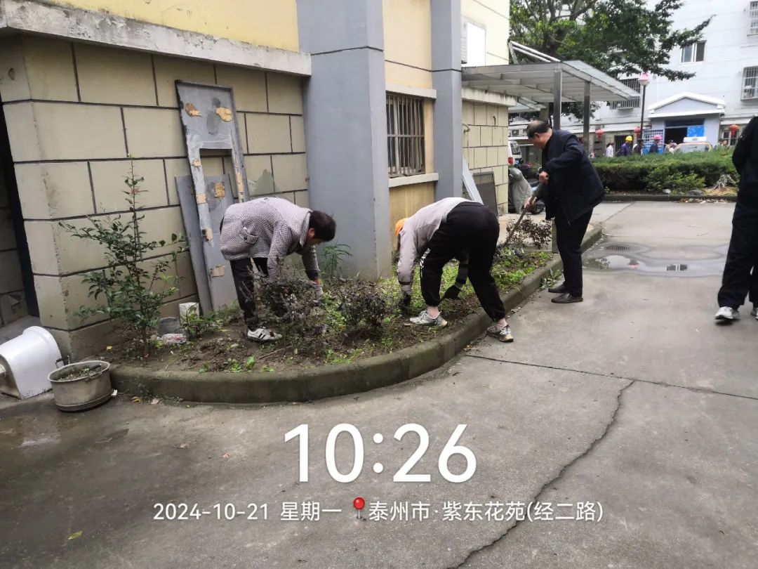 094326rdend9h964nsnnsz.jpeg