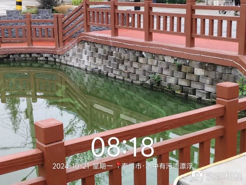 094125c75x995171qc1qbv.jpeg