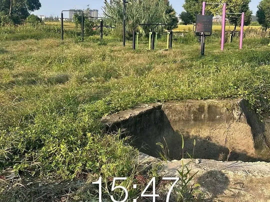 094125m31d44447lyl83ib.jpeg