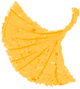 152341mhrquqry4vffypu2.png