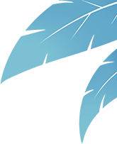 094638hw93sx98zsf4ss43.png