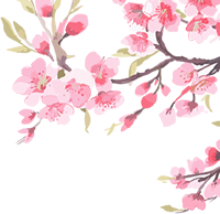 162519bk52k2q2gfa4qudf.png
