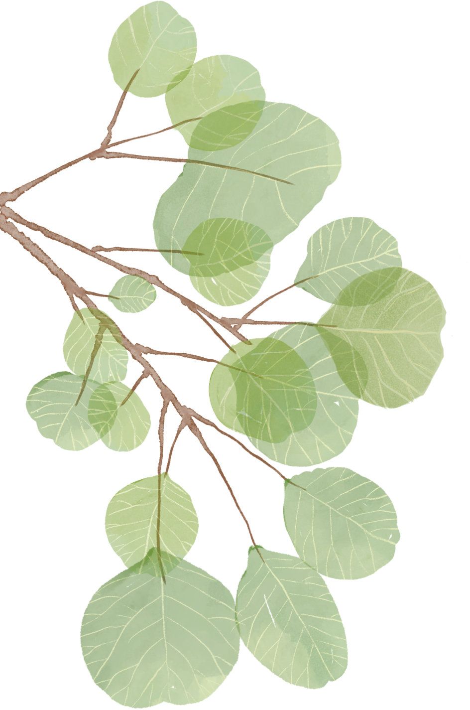 170938o5np7272n4crn22z.png