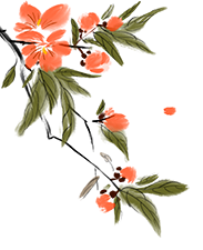 090229ixjqsrfgrfoqsb0b.png