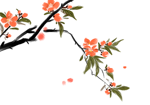 090229rkn53r33larnlb4v.png