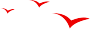 104300ea26nz6rrhnhthxq.png