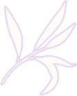 102038yu2cauu5c5ueu2zc.png