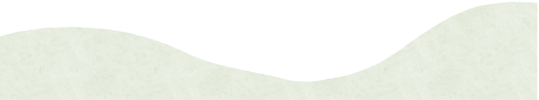 154239tedky18mg179orly.png